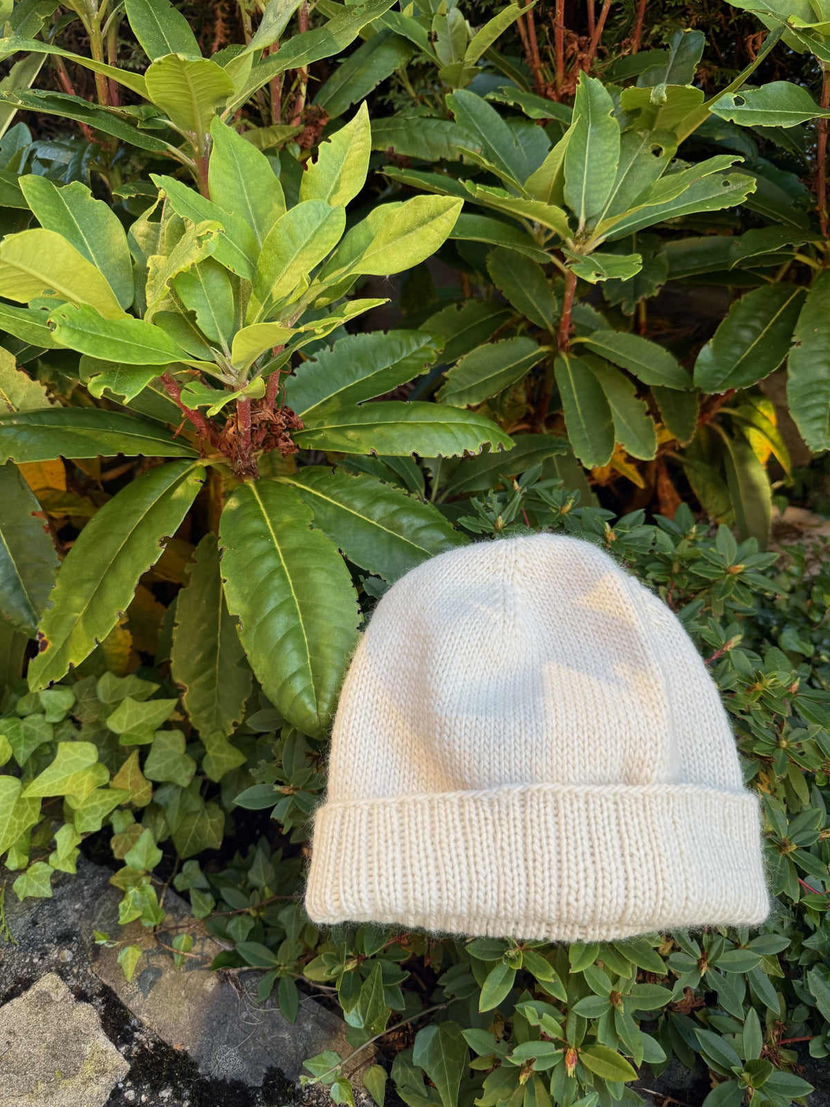Simple Beanie / Enkel lue