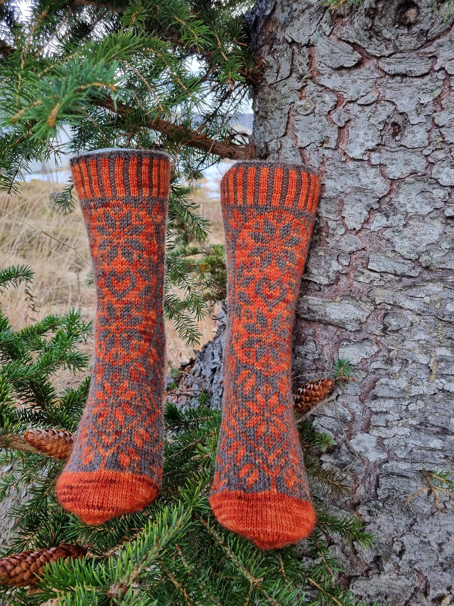Fjær lesten