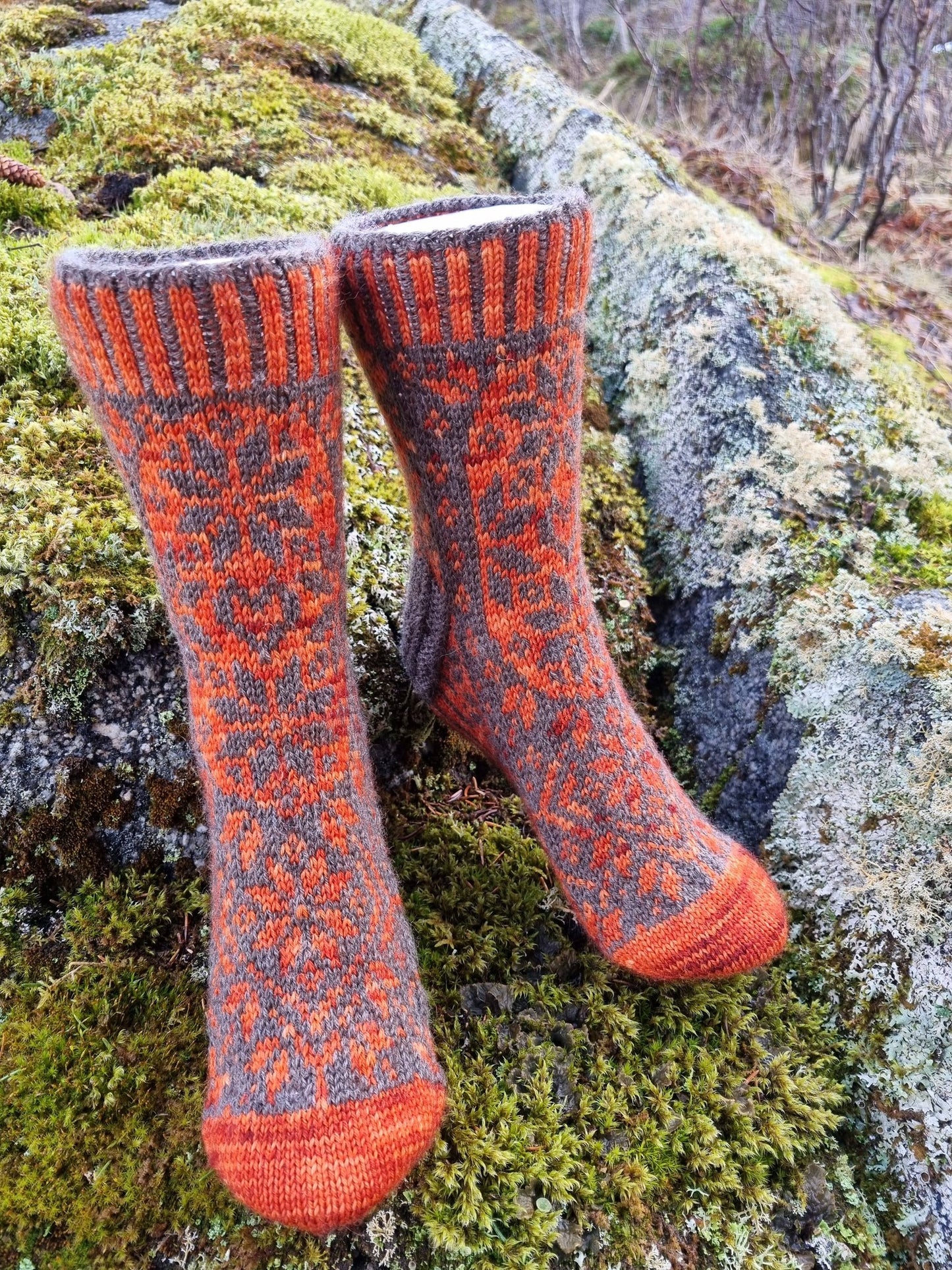 Fjær lesten